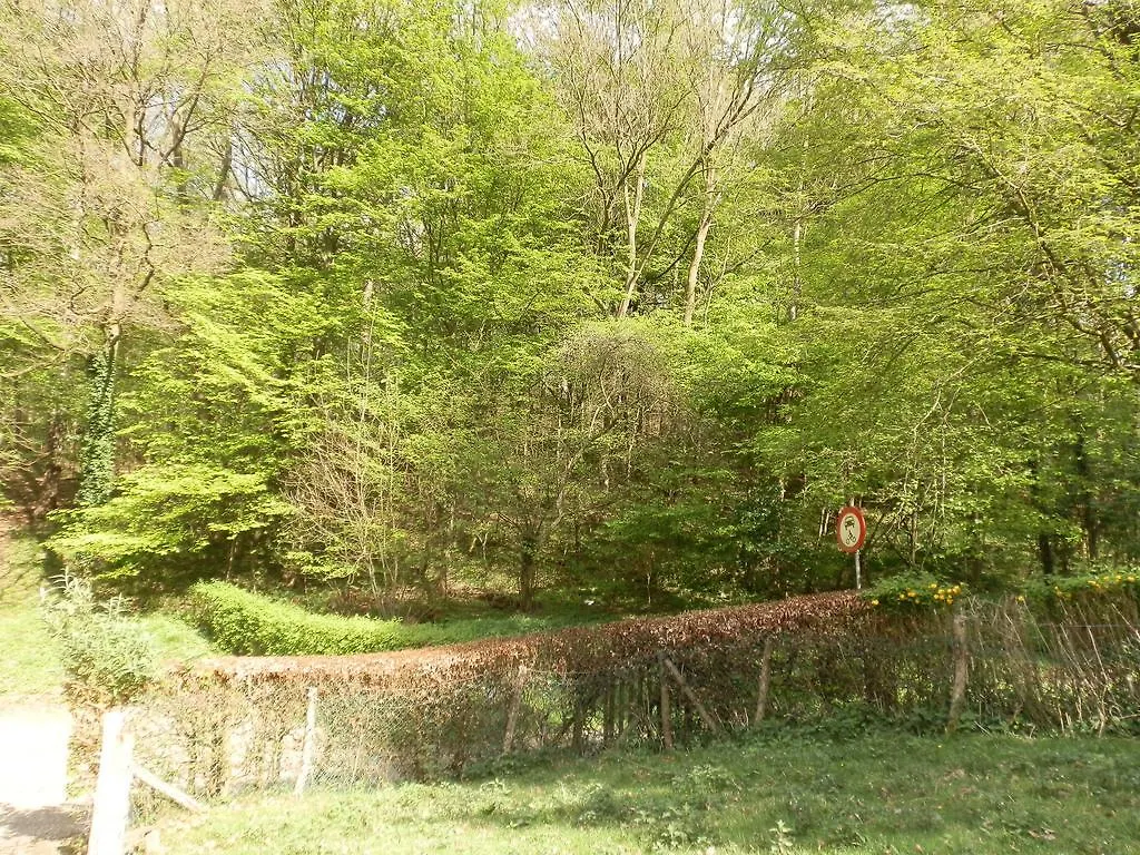 D'R Pletsch Appartement Berg en Terblijt 0*,